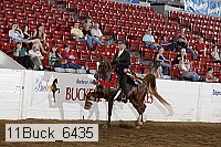 11buck_6435 proof