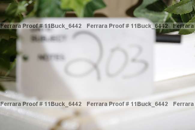 Proof 11buck_6442