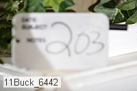 11buck_6442 proof