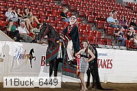 11buck_6449 proof