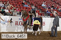 11buck_6451 proof