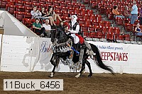 11buck_6456 proof