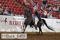 11buck_6459 proof
