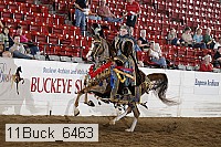 11buck_6463 proof