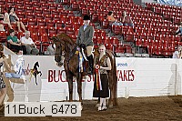 11buck_6478 proof