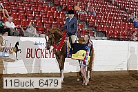 11buck_6479 proof