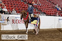 11buck_6480 proof
