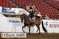 11buck_6485 proof
