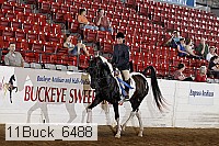 11buck_6488 proof