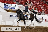 11buck_6489 proof