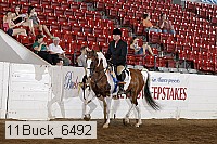 11buck_6492 proof