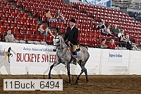 11buck_6494 proof