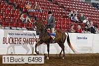 11buck_6498 proof