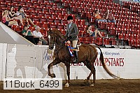 11buck_6499 proof