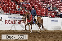 11buck_6501 proof