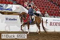 11buck_6502 proof