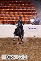 11buck_6510 proof