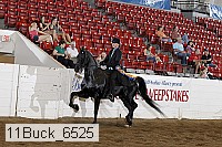 11buck_6525 proof