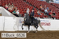11buck_6526 proof