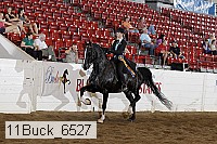 11buck_6527 proof