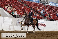 11buck_6528 proof