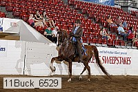 11buck_6529 proof