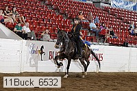11buck_6532 proof