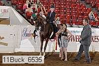11buck_6535 proof