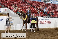 11buck_6536 proof