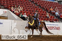 11buck_6542 proof