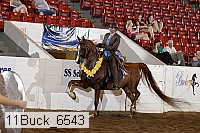 11buck_6543 proof