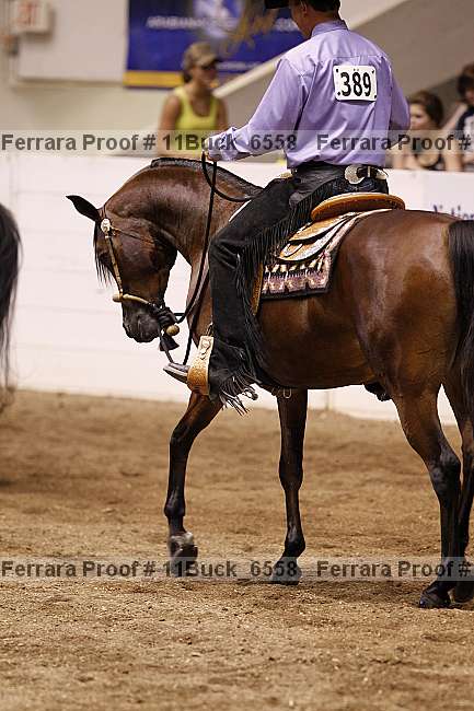 Proof 11buck_6558