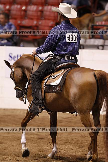 Proof 11buck_6561