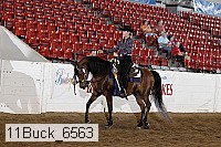 11buck_6563 proof
