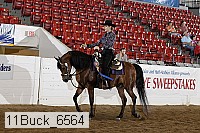 11buck_6564 proof