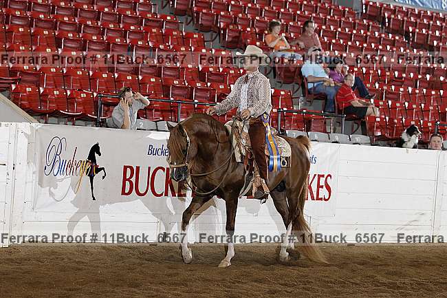 Proof 11buck_6567