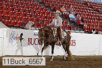 11buck_6567 proof