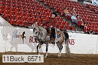 11buck_6571 proof