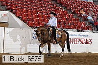 11buck_6575 proof