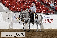 11buck_6578 proof
