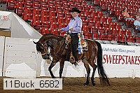 11buck_6582 proof