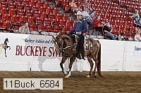 11buck_6584 proof