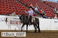 11buck_6587 proof