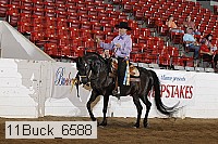 11buck_6588 proof