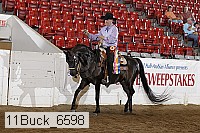 11buck_6598 proof