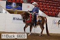 11buck_6603 proof
