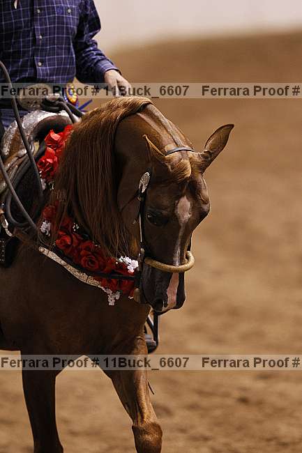 Proof 11buck_6607