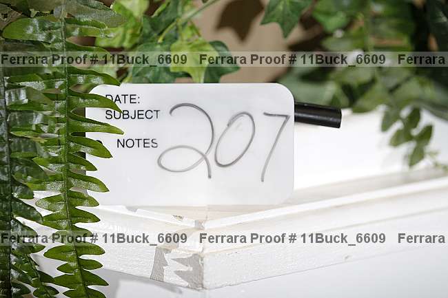 Proof 11buck_6609