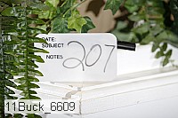 11buck_6609 proof