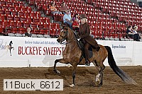 11buck_6612 proof